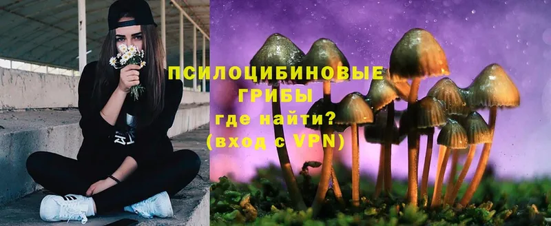 Псилоцибиновые грибы Magic Shrooms  Камбарка 